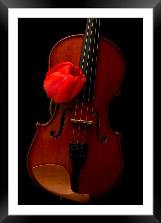 Music Lover Framed Mounted Print by Edward Fielding