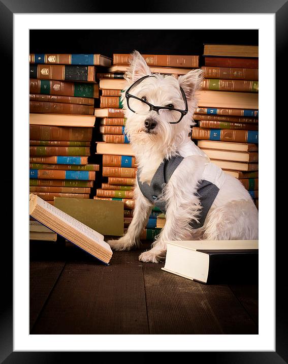 Dog reading books Framed Mounted Print by Edward Fielding