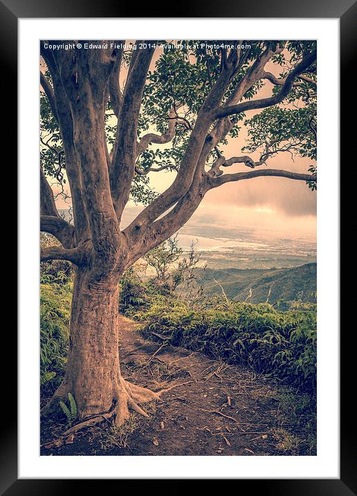 Ridge Trail Maui Hawaii Framed Mounted Print by Edward Fielding