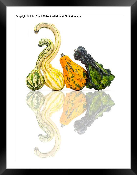  Reflected Gourds Framed Mounted Print by John Boud