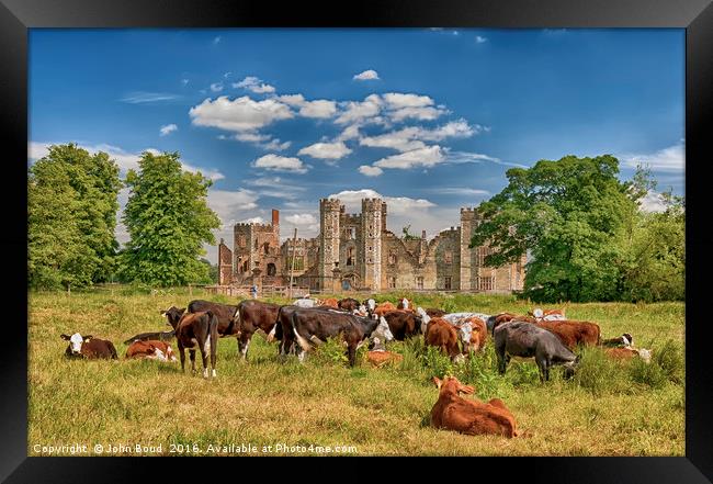 Ruins of Cowdray House Midhurst West Sussex Framed Print by John Boud