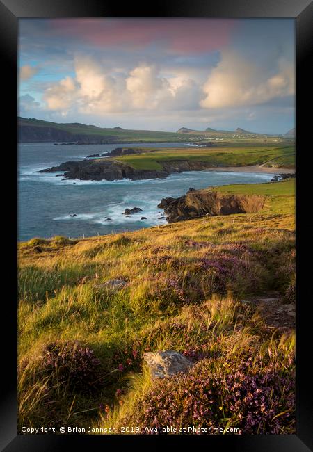 Dingle Peninsula Evening  Framed Print by Brian Jannsen