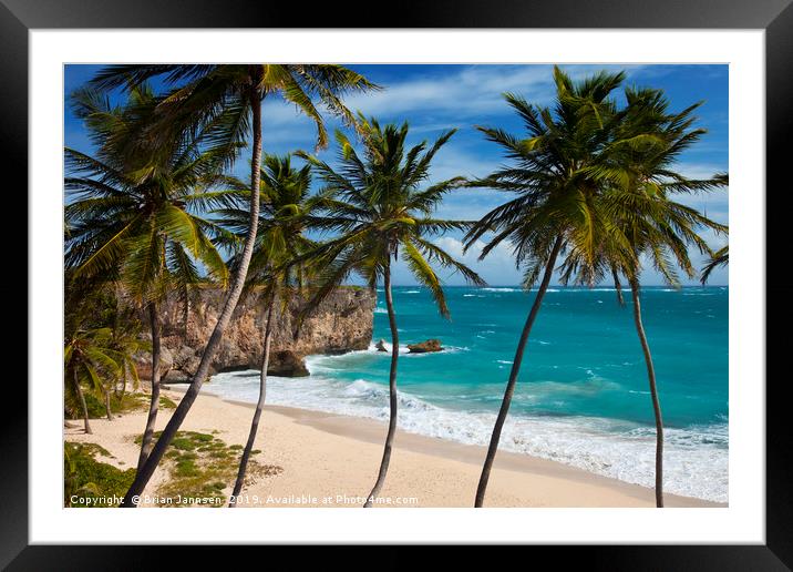 Barbados Beach Framed Mounted Print by Brian Jannsen