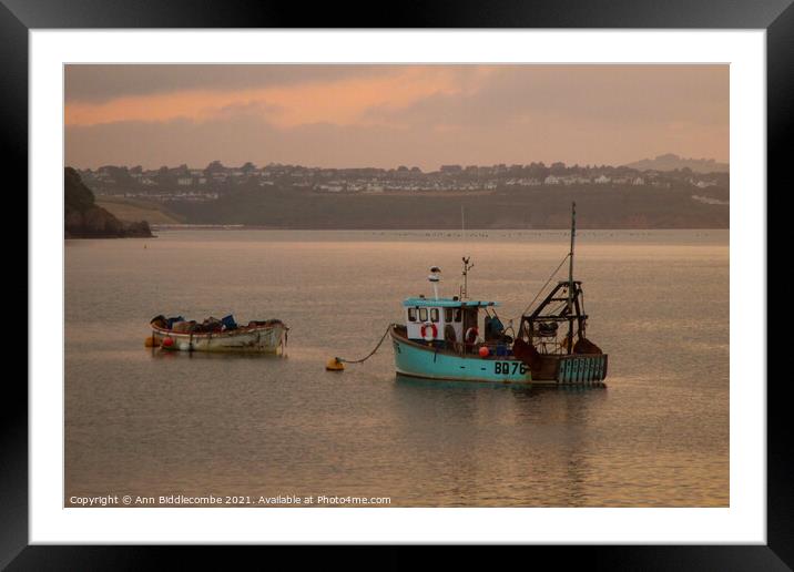 Just a couple of fishing boats Framed Mounted Print by Ann Biddlecombe