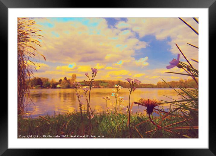 Wild flowers around the Cappy lake edited Framed Mounted Print by Ann Biddlecombe