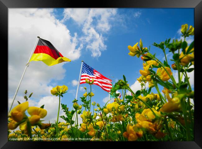 A Flowers View of the USA and German Flags Framed Print by Ann Biddlecombe