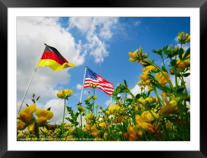 A Flowers View of the USA and German Flags Framed Mounted Print by Ann Biddlecombe