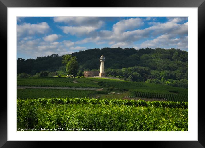 Lighthouse surrounded by vineyards Framed Mounted Print by Ann Biddlecombe