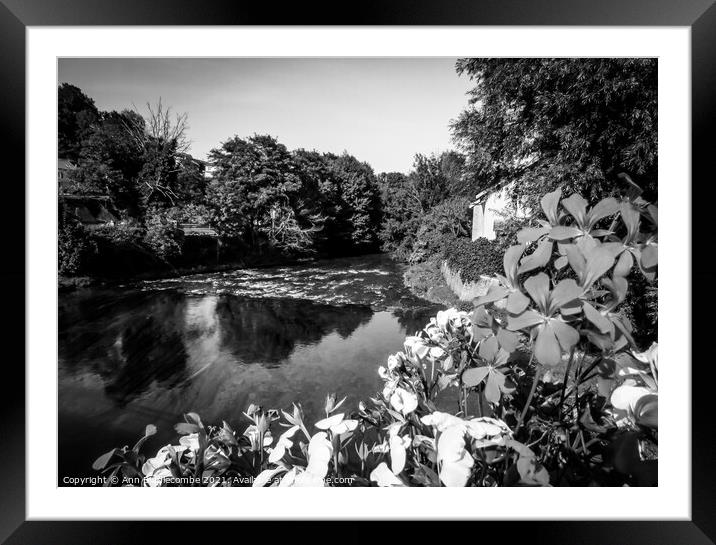 The river Marne in monochrome Framed Mounted Print by Ann Biddlecombe