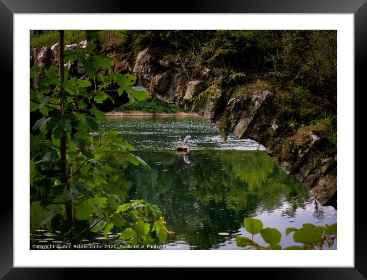 Heron through the remains of a Roman bridge Framed Mounted Print by Ann Biddlecombe