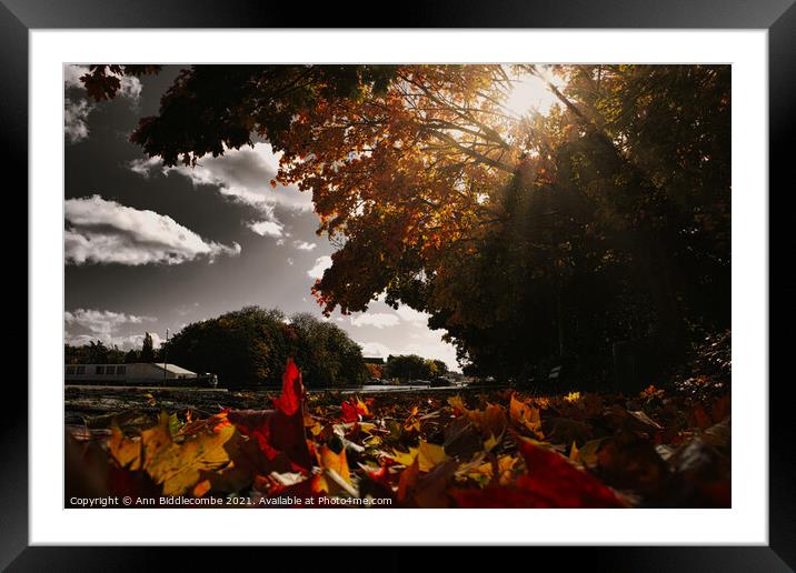 Fall leaves next to the canal with washed out sky Framed Mounted Print by Ann Biddlecombe