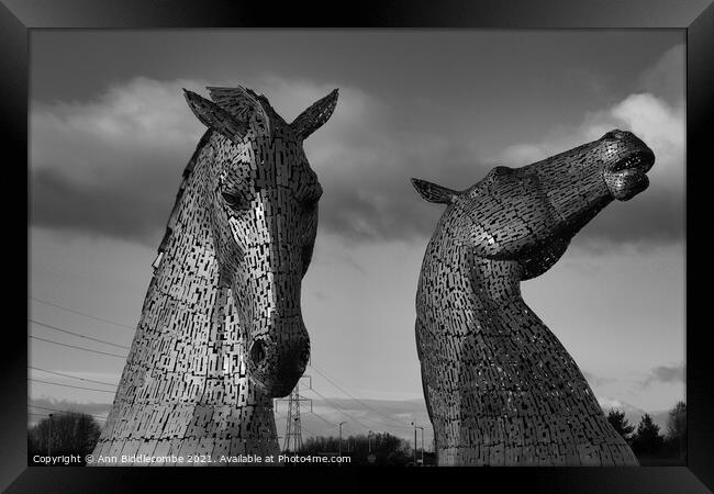 Black and white Kelpies in Scotland Framed Print by Ann Biddlecombe