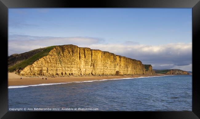 Westbay cliffs also known as broadchurch cliffs Framed Print by Ann Biddlecombe