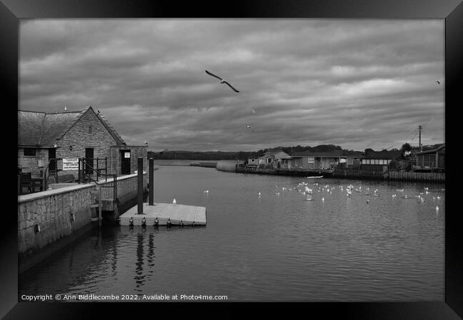 Monochrome Seagulls on the  River Brit Framed Print by Ann Biddlecombe