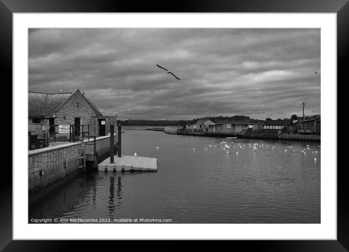 Monochrome Seagulls on the  River Brit Framed Mounted Print by Ann Biddlecombe