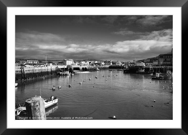 West bay harbour  Framed Mounted Print by Ann Biddlecombe