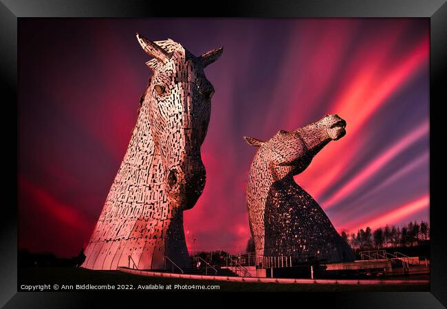 Kelpies in pink Framed Print by Ann Biddlecombe