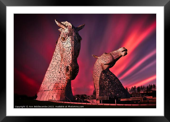 Kelpies in pink Framed Mounted Print by Ann Biddlecombe