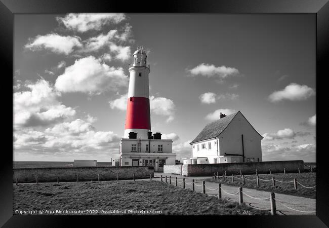 Portland lighthouse in spot colour Framed Print by Ann Biddlecombe