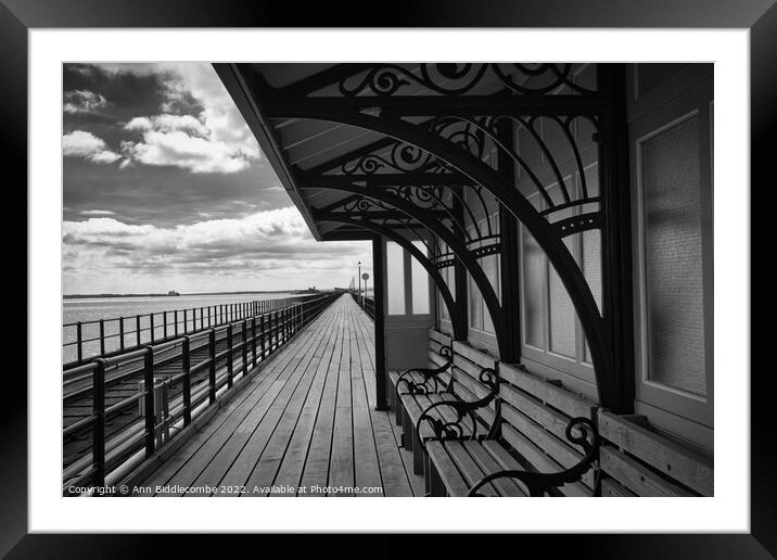 Taking shelter on the pier in Southend on Sea Framed Mounted Print by Ann Biddlecombe