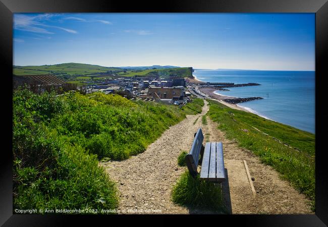 View of Westbay from the top of the hill Framed Print by Ann Biddlecombe