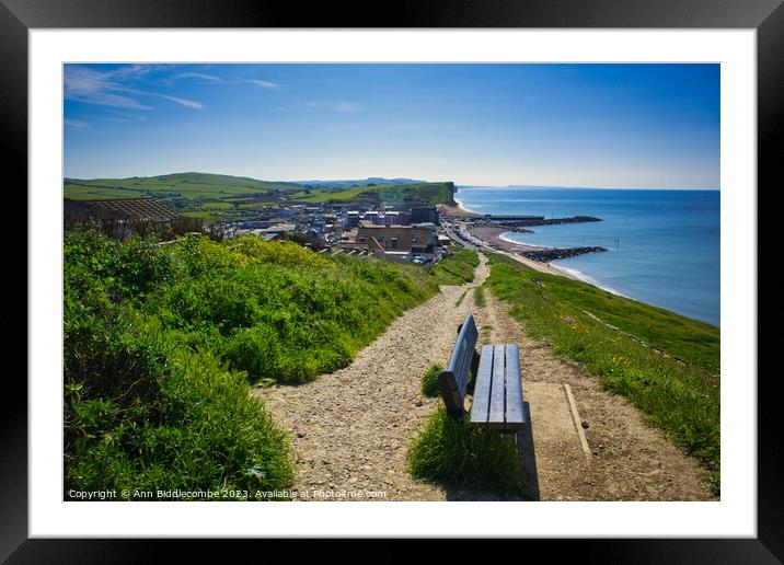 View of Westbay from the top of the hill Framed Mounted Print by Ann Biddlecombe