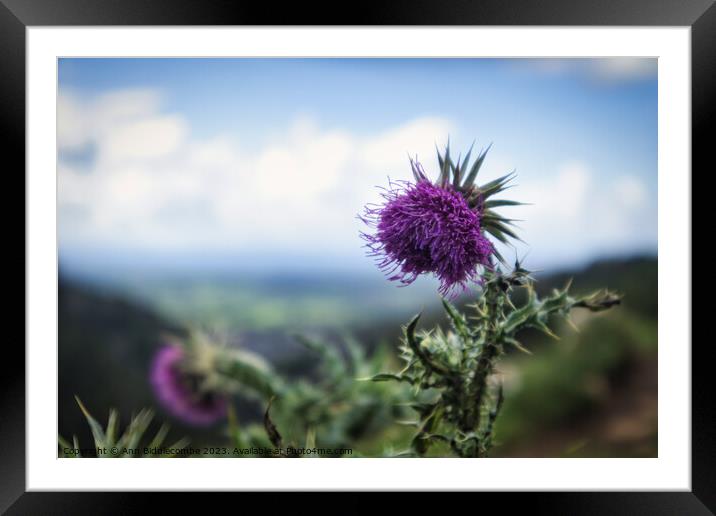 Thistles on the cliff at Cheddar Gorge Framed Mounted Print by Ann Biddlecombe