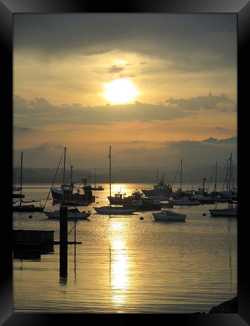  Brixham boats by sunset Framed Print by Ann Biddlecombe