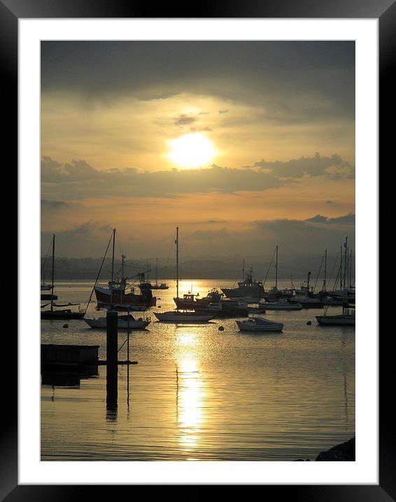  Brixham boats by sunset Framed Mounted Print by Ann Biddlecombe