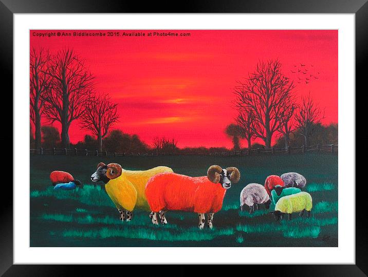  Rainbow Flock Framed Mounted Print by Ann Biddlecombe