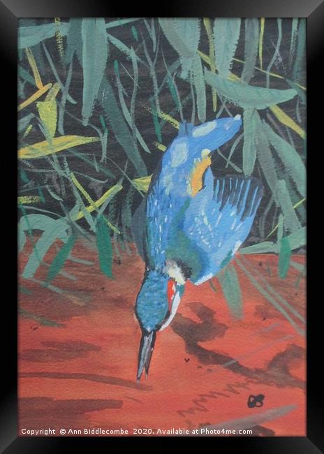 Fishing Kingfisher Framed Print by Ann Biddlecombe