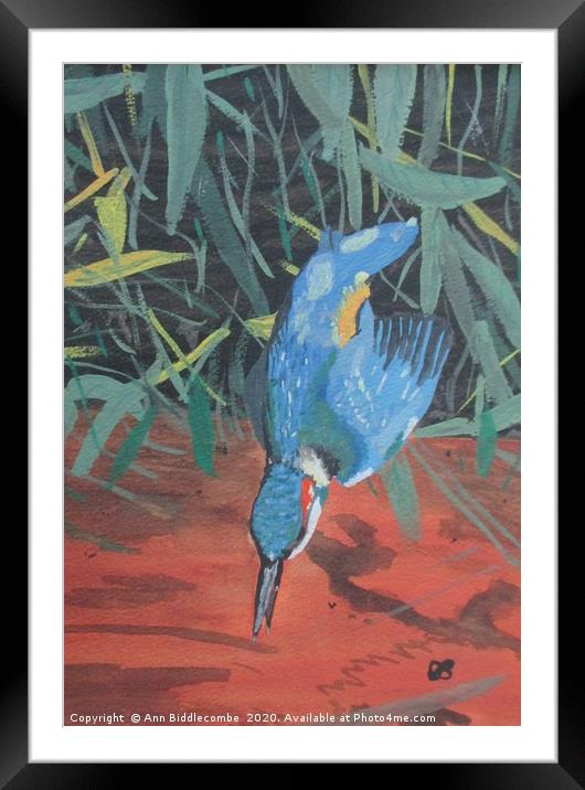 Fishing Kingfisher Framed Mounted Print by Ann Biddlecombe