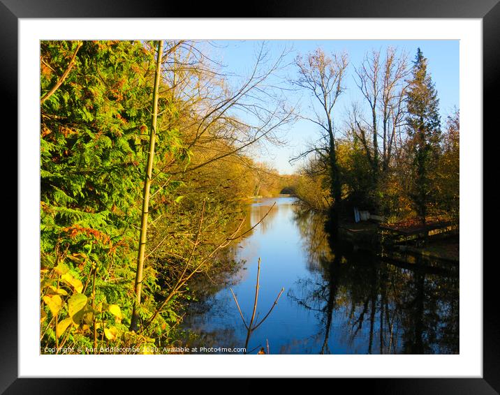 Lake at Bray in France created by the Somme river Framed Mounted Print by Ann Biddlecombe