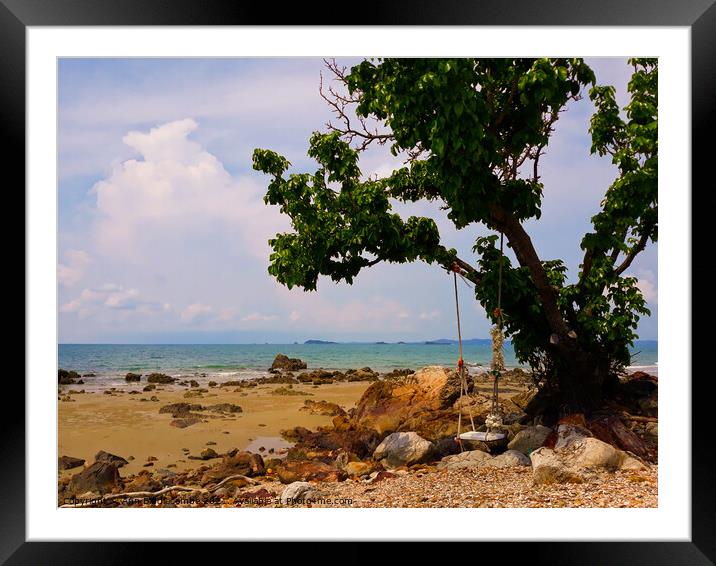 Lone Swing hanging on a tree on a Beach in Rayon S Framed Mounted Print by Ann Biddlecombe