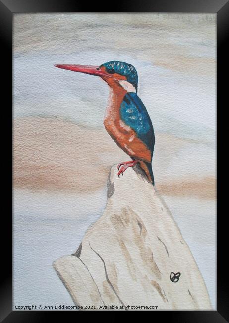 Kingfisher watercolor Framed Print by Ann Biddlecombe