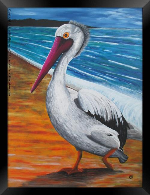 The Pelican Framed Print by Ann Biddlecombe