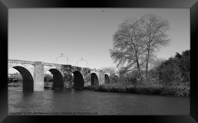 Bridge over the L'Aude River in France in Black an Framed Print by Ann Biddlecombe