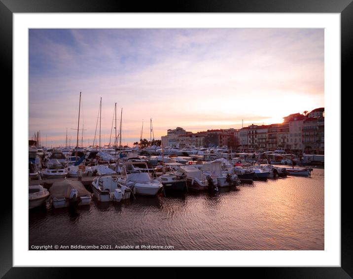  Cannes marina at sunset Framed Mounted Print by Ann Biddlecombe