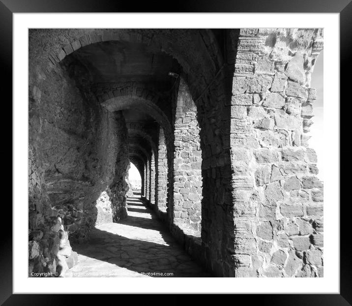 The arches of Château de la Napoule in monochrome Framed Mounted Print by Ann Biddlecombe