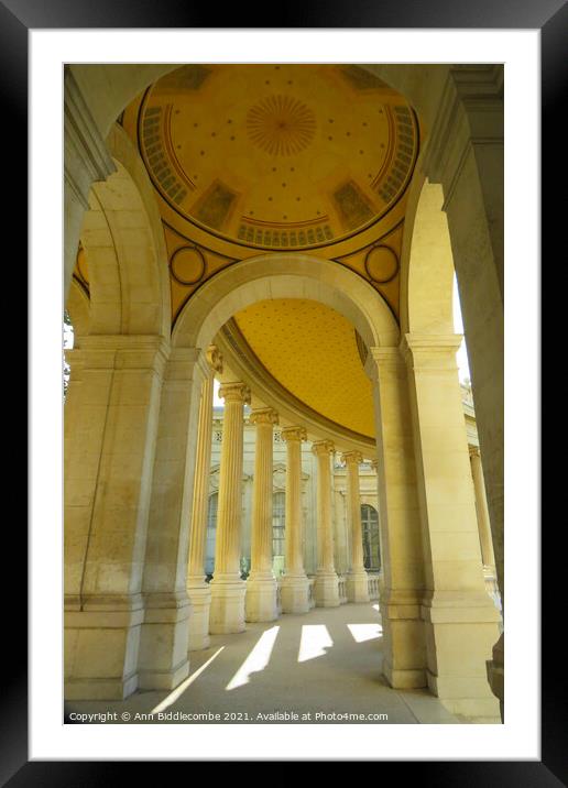 At the top of the palais longchamp Framed Mounted Print by Ann Biddlecombe