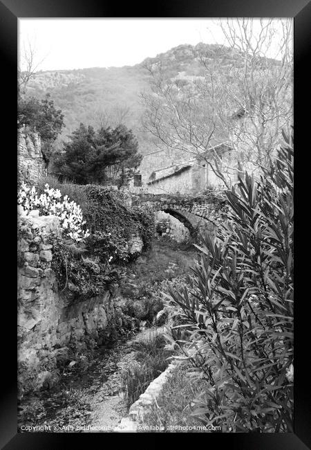 A garden with a bridge over the stream in black and white Framed Print by Ann Biddlecombe