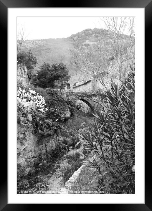A garden with a bridge over the stream in black and white Framed Mounted Print by Ann Biddlecombe