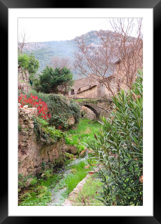 A garden with a bridge over the stream Framed Mounted Print by Ann Biddlecombe