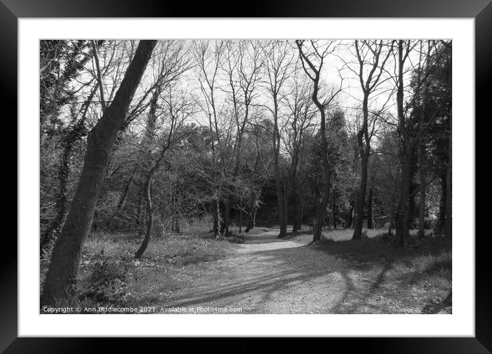 The path through the trees in monochrome Framed Mounted Print by Ann Biddlecombe