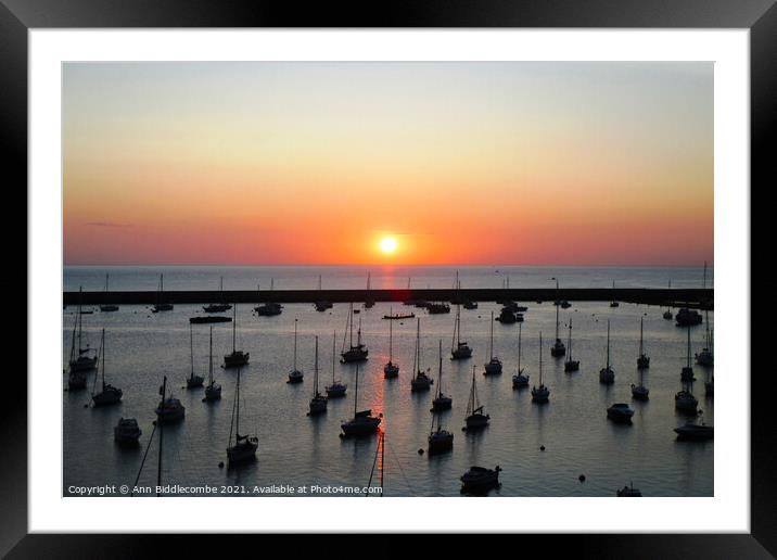 Sunrise over the outer harbor in Brixham  Framed Mounted Print by Ann Biddlecombe