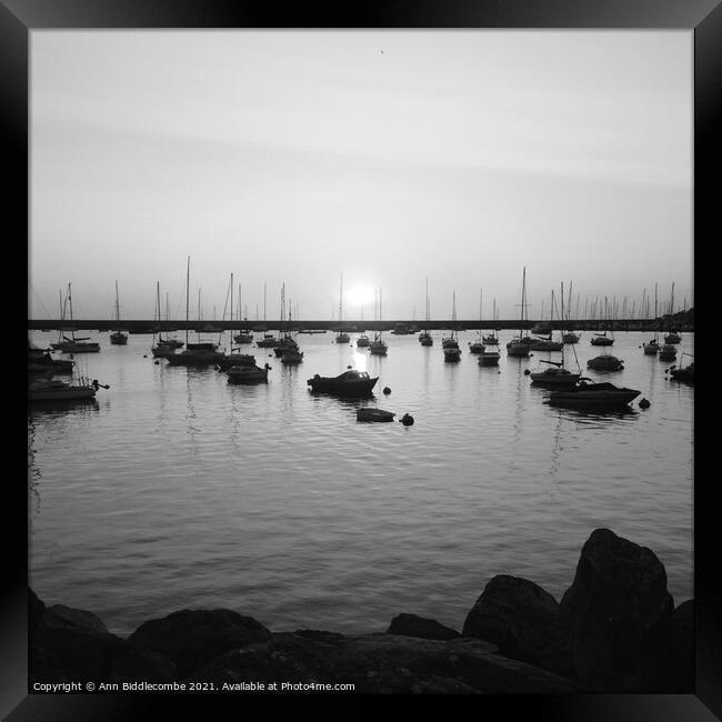 Sunrise over the outer harbor in Brixham in monochrome Framed Print by Ann Biddlecombe