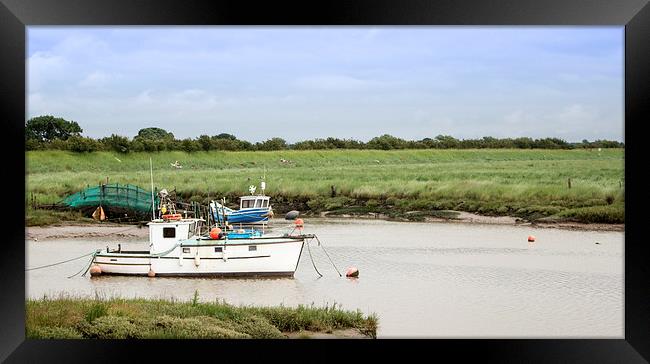 Up the Creak Framed Print by Liam Gibbins