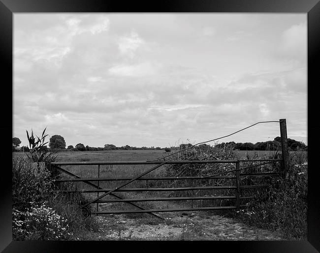 Gate to the Countryside Framed Print by Liam Gibbins