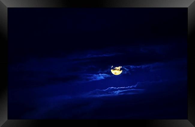 Goodnight Moon Framed Print by Peta Thames