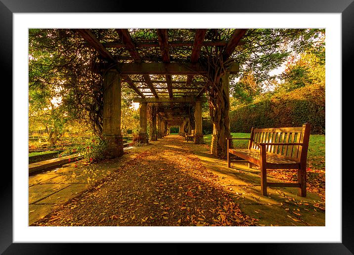  Peace and Quiet. Framed Mounted Print by Peter Bunker